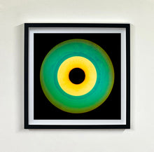 Load image into Gallery viewer, Twenty-Five Piece Vinyl Installation