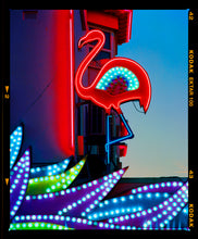 Load image into Gallery viewer, Neon Flamingo, Norfolk, 2022