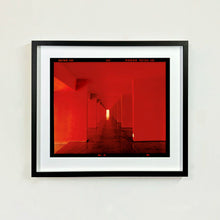 Load image into Gallery viewer, Red Dinosaur II, Milan, 2020