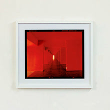 Load image into Gallery viewer, Red Dinosaur II, Milan, 2020