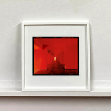 Load image into Gallery viewer, Red Dinosaur II, Milan, 2020