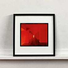Load image into Gallery viewer, Red Dinosaur II, Milan, 2020