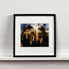 Load image into Gallery viewer, Black framed photograph by Richard Heeps. Cotton top grass is captured with the early sunrise filtering through it. The photograph is in neutral tones.