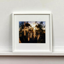 Load image into Gallery viewer, White framed photograph by Richard Heeps. Cotton top grass is captured with the early sunrise filtering through it. The photograph is in neutral tones.