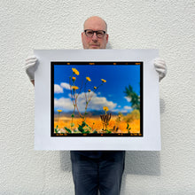 Load image into Gallery viewer, Hell's Gate (Film Rebate), Death Valley, California, 2000