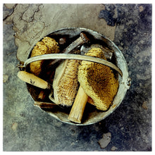 Load image into Gallery viewer, Ordinary Places 16 Piece Installation