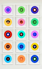 Load image into Gallery viewer, Fifteen Piece "B Side" Vinyl Installation