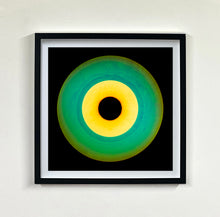 Load image into Gallery viewer, Sixteen Piece Vinyl Collection
