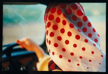 Load image into Gallery viewer, Anita, Lady Fen, Welney is an autobiographical piece recreating Richard's childhood memory of the Sunday drive with his parents, his mother driving in her Marks and Spencer polka dot head scarf which was a popular look in the 1960's.