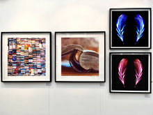 Load image into Gallery viewer, Flight of Fancy Electric Pink, 2017