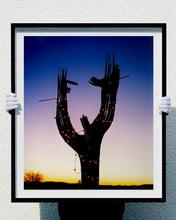 Load image into Gallery viewer, The silhouette of a large scale cactus, dressed in twinkle lights, set against an ombre twilight sky. Photographed by Richard Heeps in the Arizona desert, for his 'Dream in Colour' series.