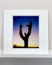 Load image into Gallery viewer, The silhouette of a large scale cactus, dressed in twinkle lights, set against an ombre twilight sky. Photographed by Richard Heeps in the Arizona desert, for his 'Dream in Colour' series.