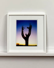 Load image into Gallery viewer, The silhouette of a large scale cactus, dressed in twinkle lights, set against an ombre twilight sky. Photographed by Richard Heeps in the Arizona desert, for his 'Dream in Colour' series.
