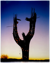 Load image into Gallery viewer, The silhouette of a large scale cactus, dressed in twinkle lights, set against an ombre twilight sky. Photographed by Richard Heeps in the Arizona desert, for his 'Dream in Colour' series.