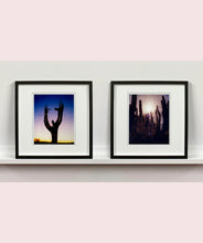 Load image into Gallery viewer, Plant life create shapes against the sky at dusk, in the Arizona Desert. Photography by Richard Heeps, part of his 'Dream in Colour' series.
