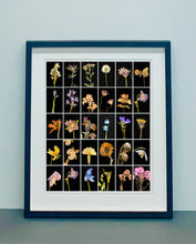 Load image into Gallery viewer, Chincherinchee, 2019