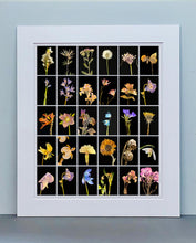Load image into Gallery viewer, Chincherinchee, 2019
