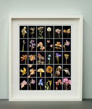 Load image into Gallery viewer, Chincherinchee, 2019