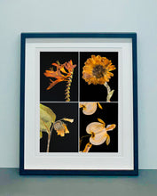 Load image into Gallery viewer, Crocosmia IV, 2019