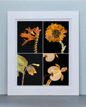 Load image into Gallery viewer, Crocosmia IV, 2019