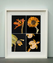 Load image into Gallery viewer, Crocosmia IV, 2019
