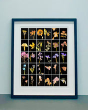 Load image into Gallery viewer, Dandelion, 2019