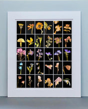 Load image into Gallery viewer, Dandelion, 2019