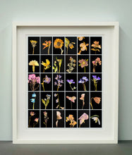 Load image into Gallery viewer, Dandelion, 2019
