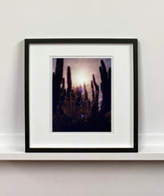 Load image into Gallery viewer, Plant life create shapes against the sky at dusk, in the Arizona Desert. Photography by Richard Heeps, part of his 'Dream in Colour' series.