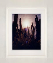 Load image into Gallery viewer, Plant life create shapes against the sky at dusk, in the Arizona Desert. Photography by Richard Heeps, part of his 'Dream in Colour' series.