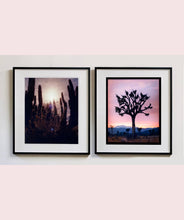 Load image into Gallery viewer, Plant life create shapes against the sky at dusk, in the Arizona Desert. Photography by Richard Heeps, part of his 'Dream in Colour' series.
