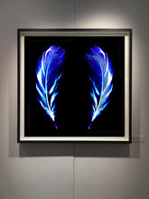 Load image into Gallery viewer, Flight of Fancy Electric Blue, 2017
