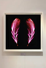 Load image into Gallery viewer, Flight of Fancy Electric Pink, 2017