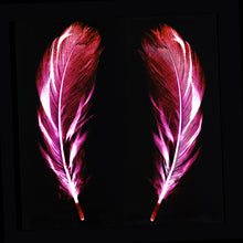 Load image into Gallery viewer, Flight of Fancy Electric Pink, 2017