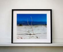 Load image into Gallery viewer, 'Florescence', from Richard Heeps' 'Dream in Colour' series was photographed in Panamint Valley, Death Valley National Park, California. This minimal landscape photograph uses a shallow depth of field emphasises a lone twig, a small sign of life, against a deep blue sky background.