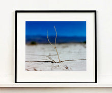 Load image into Gallery viewer, 'Florescence', from Richard Heeps' 'Dream in Colour' series was photographed in Panamint Valley, Death Valley National Park, California. This minimal landscape photograph uses a shallow depth of field emphasises a lone twig, a small sign of life, against a deep blue sky background.