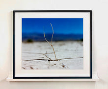 Load image into Gallery viewer, 'Florescence', from Richard Heeps' 'Dream in Colour' series was photographed in Panamint Valley, Death Valley National Park, California. This minimal landscape photograph uses a shallow depth of field emphasises a lone twig, a small sign of life, against a deep blue sky background.