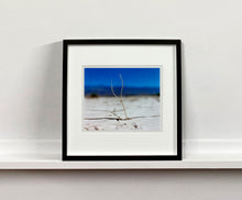 Load image into Gallery viewer, 'Florescence', from Richard Heeps' 'Dream in Colour' series was photographed in Panamint Valley, Death Valley National Park, California. This minimal landscape photograph uses a shallow depth of field emphasises a lone twig, a small sign of life, against a deep blue sky background.