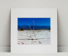 Load image into Gallery viewer, 'Florescence', from Richard Heeps' 'Dream in Colour' series was photographed in Panamint Valley, Death Valley National Park, California. This minimal landscape photograph uses a shallow depth of field emphasises a lone twig, a small sign of life, against a deep blue sky background.