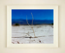 Load image into Gallery viewer, 'Florescence', from Richard Heeps' 'Dream in Colour' series was photographed in Panamint Valley, Death Valley National Park, California. This minimal landscape photograph uses a shallow depth of field emphasises a lone twig, a small sign of life, against a deep blue sky background.