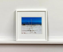 Load image into Gallery viewer, 'Florescence', from Richard Heeps' 'Dream in Colour' series was photographed in Panamint Valley, Death Valley National Park, California. This minimal landscape photograph uses a shallow depth of field emphasises a lone twig, a small sign of life, against a deep blue sky background.