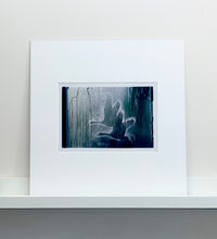 Load image into Gallery viewer, Geese - WWT, Welney, 1993