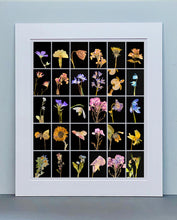 Load image into Gallery viewer, Geranium, 2019