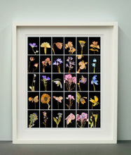 Load image into Gallery viewer, Geranium, 2019