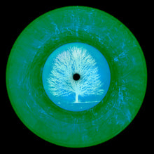 Load image into Gallery viewer, Vinyl Collection 'LTD. ED. VINYL (Summer)', 2015