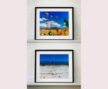 Load image into Gallery viewer, 'Florescence', from Richard Heeps' 'Dream in Colour' series was photographed in Panamint Valley, Death Valley National Park, California. This minimal landscape photograph uses a shallow depth of field emphasises a lone twig, a small sign of life, against a deep blue sky background.