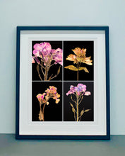 Load image into Gallery viewer, Honesty IV, 2019
