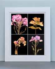 Load image into Gallery viewer, Honesty IV, 2019