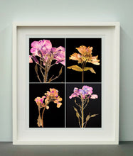 Load image into Gallery viewer, Honesty IV, 2019