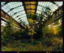 Load image into Gallery viewer, 'Industrial Jungle, Lambrate’ is part of Richard Heeps' series 'A Short History of Milan' which began in November 2018 for a special project featuring at the Affordable Art Fair Milan 2019, and the series is ongoing. There is a reoccurring linear, structural theme throughout the series, capturing the Milanese use of materials in design such as glass, metal, wood and stone.